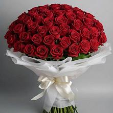 Букет 101 Красная роза Блэк Мэджик в Пестово Новгородская область
