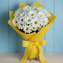 Букет цветов из:  Хризантемы в Пестово Новгородская область