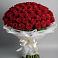 Букет 101 Красная роза Блэк Мэджик в Пестово Новгородская область