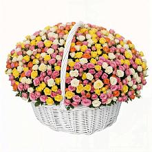 Премиум букет из: Розы в Пестово Новгородская область