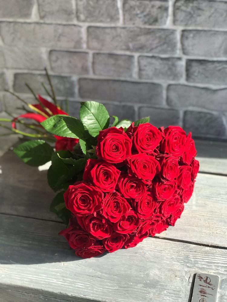 Букет Красные розы Фридом в Пестово Новгородская область