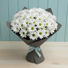 Букет цветов из:  Хризантемы в Пестово Новгородская область