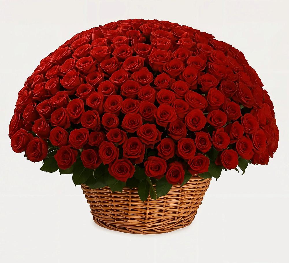 Премиум букет из: Розы в Пестово Новгородская область