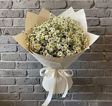 Букет цветов из:  Ромашки #REPLACE_PRED# Пестово Новгородская область