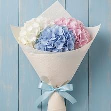 Букет цветов из:  Гортензия #REPLACE_PRED# Пестово Новгородская область