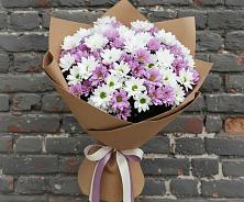 Букет цветов из:  Хризантемы в Пестово Новгородская область