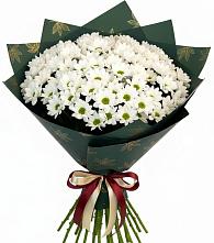 Букет цветов из:  Хризантемы #REPLACE_PRED# Пестово Новгородская область