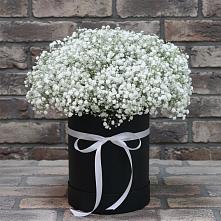 Цветочная композиция из Гипсофила в шляпной коробке в Пестово Новгородская область