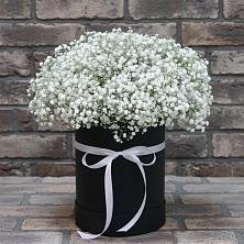 Цветочная композиция из Гипсофила в шляпной коробке в Пестово Новгородская область