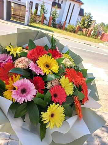 Букет цветов из: Герберы в Пестово Новгородская область